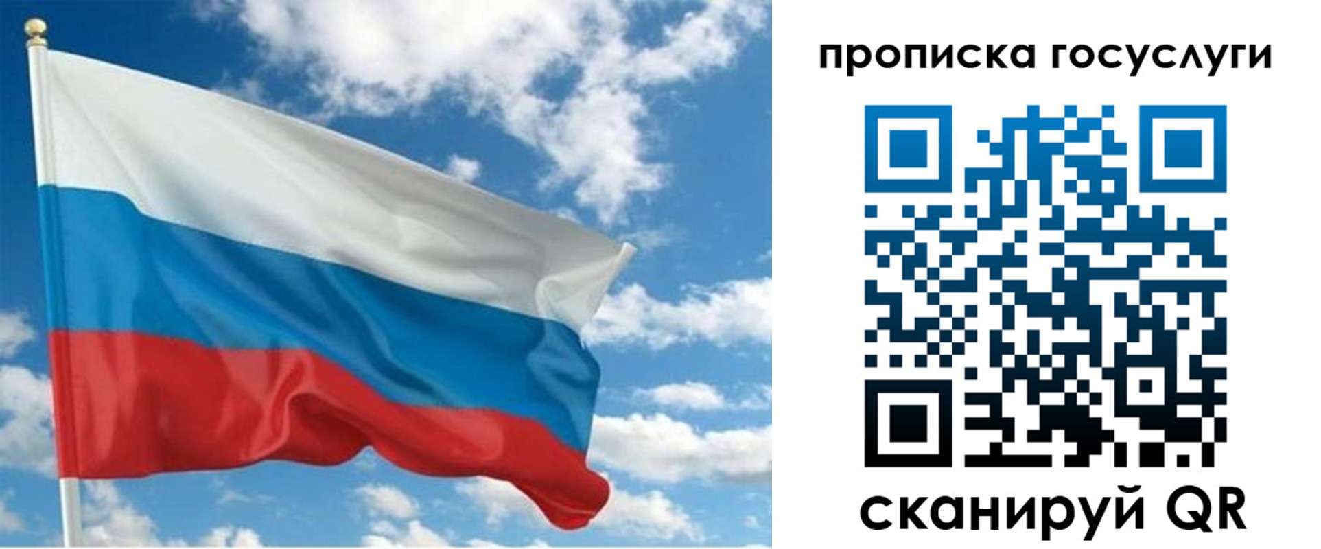 временная регистрация поиск в Покрове
